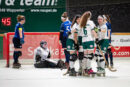 Dörper Cats nicht zu stoppen: Mit 7:0-Gala-Auftritt ins Finale!